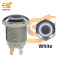 12 mm 12-24V Ring Light Push Button Horn Type Metal Switch with White Indicator