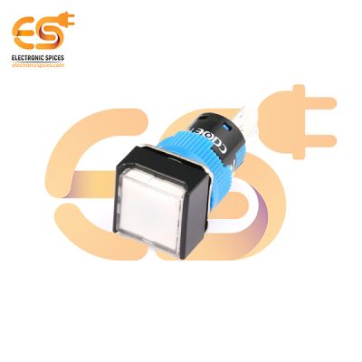 HBDS1-AF-11D/220V/W Plastic Body Push Button Switch with White Indicator