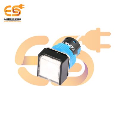 HBDS1-AF-11D/24V/W Plastic Body Push Button Switch with White Indicator