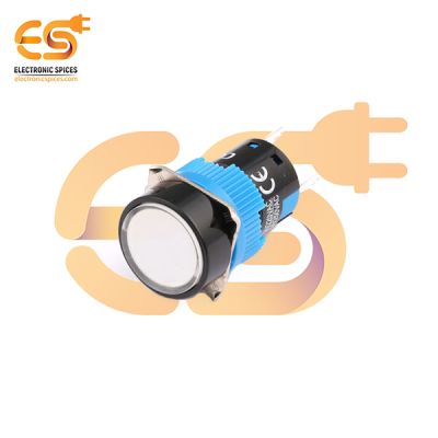 HBDS1-AY-11DZ/220V/W Plastic Body Round Push Button Switch with White Indicator