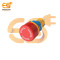 Emergency Stop Plastic Switch – Flat Head | Red | 1NO1NC | Pin Terminal | IP65