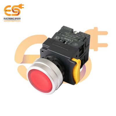 22mm 10A 600V Push Button Switch – Flat Head | 1NO1NC | Momentary | Screw Terminal | Plastic | IP65 | Red Head