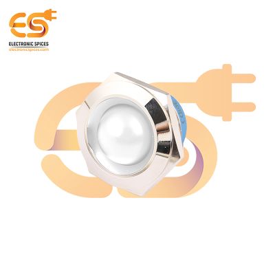 220V 25mm White LED Light Indicator | Domed Head | Nickel-Plated Brass | Pin Terminal | IP67