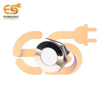 24V 25mm White LED Light Indicator | Flat Head | Nickel-Plated Brass | Pin Terminal | IP67