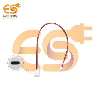 C-Type USB Female Socket with 2-Pin 2.5mm JST Wire Connector (25.5cm)