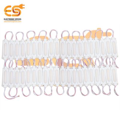 12V 2W Bright warm white color waterproof LED modules pack of 100pcs