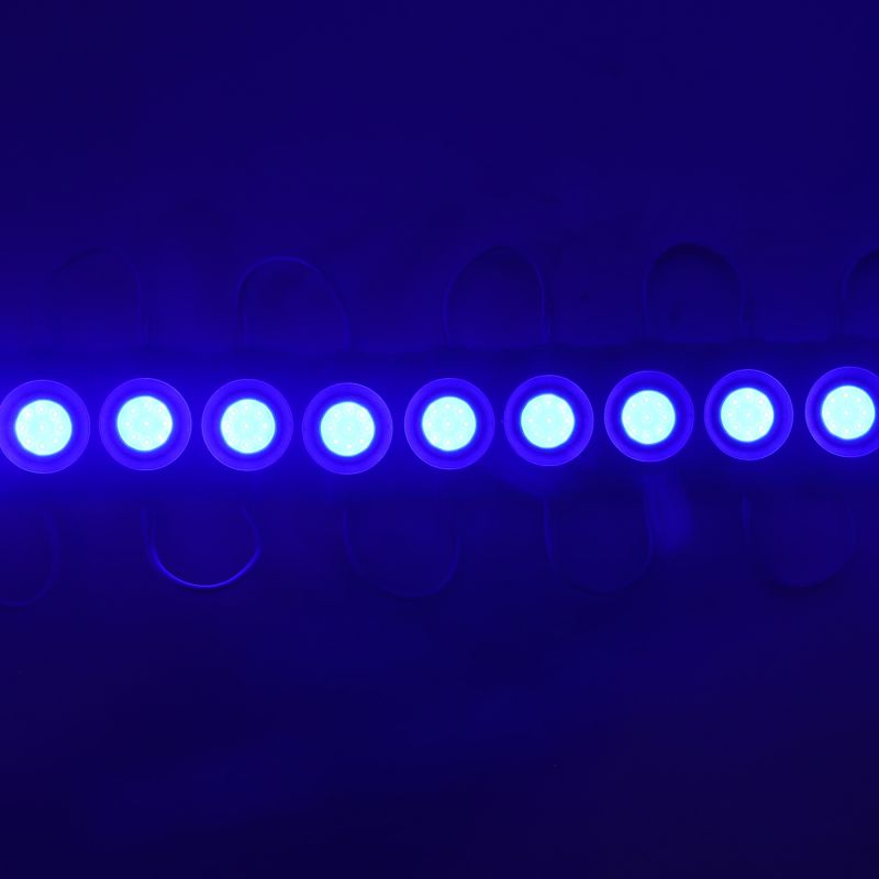 12V 2.4W Bright blue color waterproof LED module pack of 10pcs