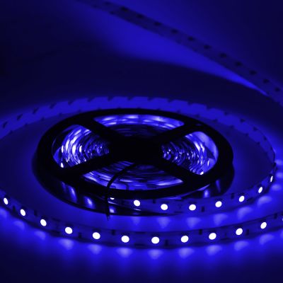 12V DC Blue color waterproof 5050 SMD LED strip roll of 5 meter