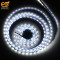 12V DC White color 4040 SMD LED strip roll of 5 Meter