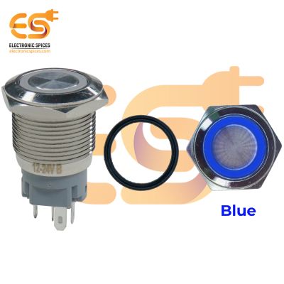 19 mm 12-24V Ring Light Push Button Self Lock Metal Switch with Blue Indicator