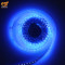 12V Blue color 2835 Strip SMD LED 120 LED Roll of 5 Meter